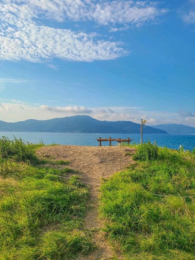 진짜 바람이 엄청 부는 바람의 언덕