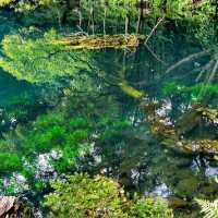 REMIS LAKE, WEST JAVA