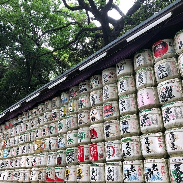 Moments at Meiji-Jingu Shrine, Tokyo