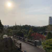대전오면 한밭수목원🌲🍃