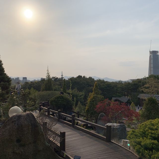 대전오면 한밭수목원🌲🍃