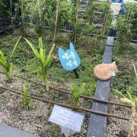 葵芳新都會廣場