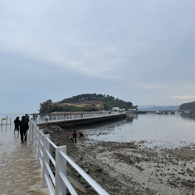 여수에 가서 해야할 일은 바로 "예술의 섬 장도" 가기