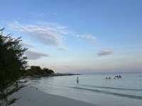 พาก๊วน…ไปป่วนเกาะ 🌊
