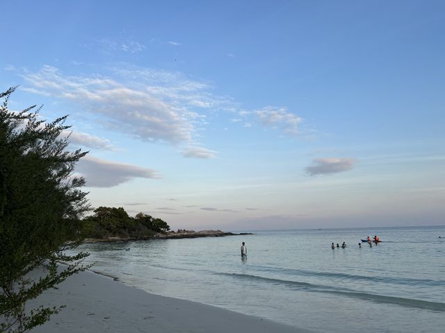 พาก๊วน…ไปป่วนเกาะ 🌊