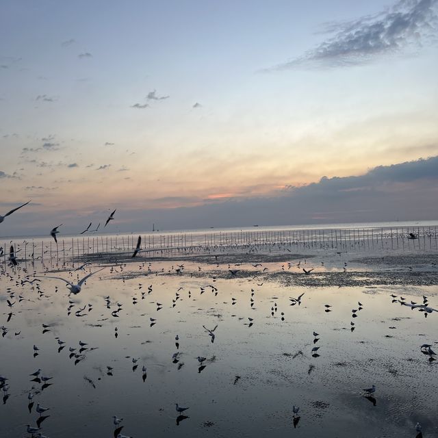 บางปู ธรรมชาติเยียวยาใจฉัน 🕊🕊