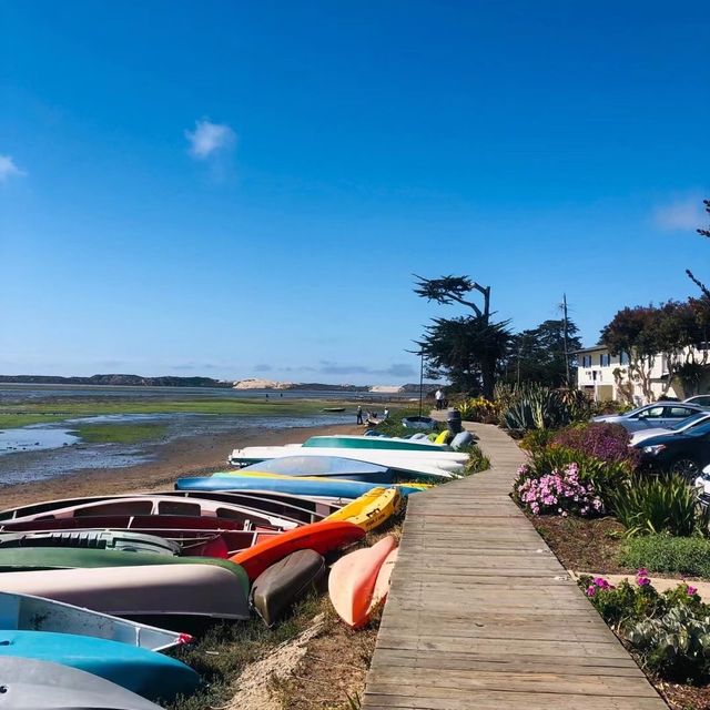 美國貝伍德公園（Baywood park)