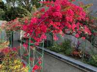花花世界 玫瑰園