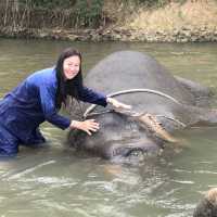 Thom’s Pai Elephant Camp