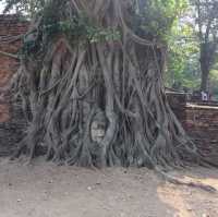 Temple Thailand
