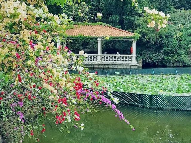 青衣賞花好地方