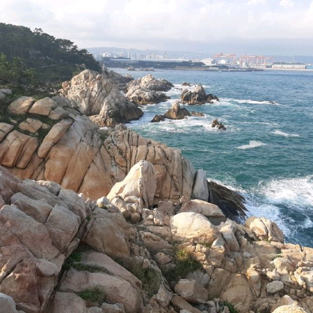 울산 뚜벅이 여행! 슬도 등대에서 대왕암공원 트래킹