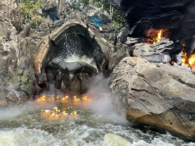 迪士尼森林河流之旅