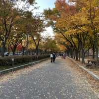 Superb fall park with magnificent road