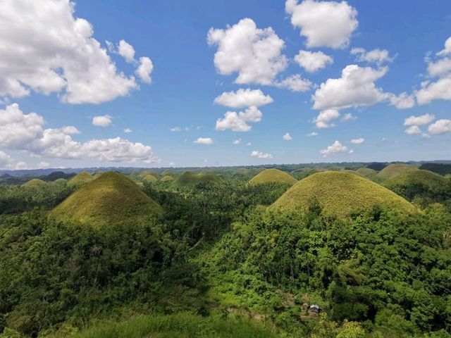 Chocolate Hills