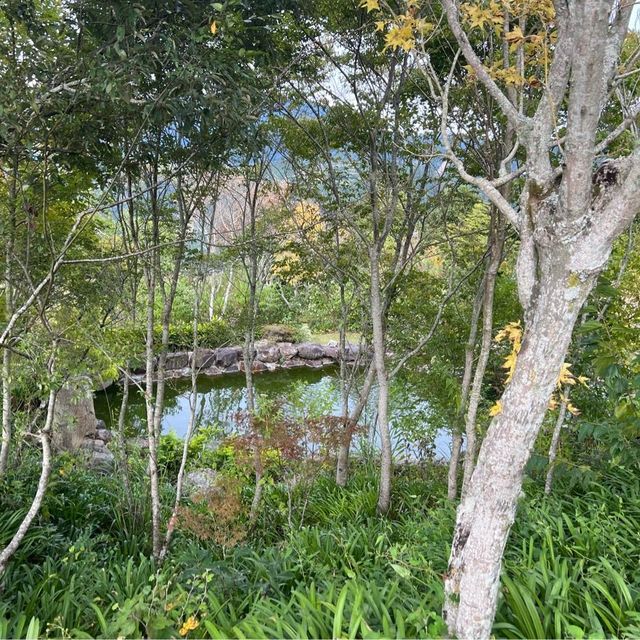 南投美麗住宿推薦｜霞飛音樂城堡🏰，房間內居然有音響可以放音樂
