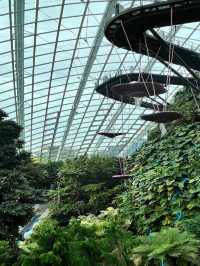 Journey to AVATAR’s Pandora at Cloud Forest