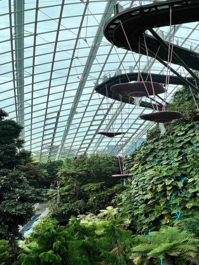Journey to AVATAR’s Pandora at Cloud Forest