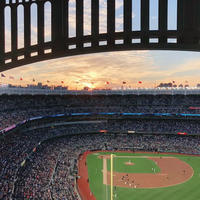 New York Yankees Live Baseball Game 