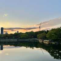 오사카 여행 필수코스 ‘오사카성’ 사진찍기 좋은 곳