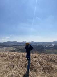 한라산이 보이는 제주도 새별오름 🌾