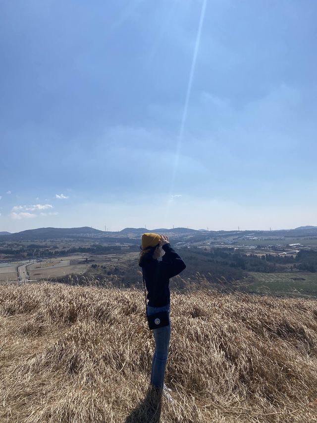 한라산이 보이는 제주도 새별오름 🌾