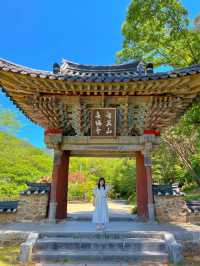 구례 천은사 산책하기 좋아요.