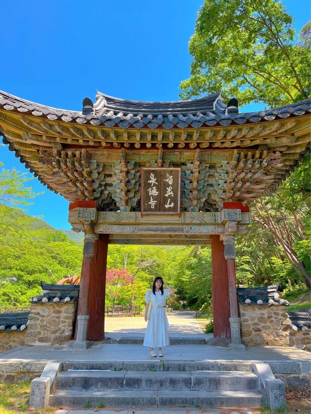 구례 천은사 산책하기 좋아요.