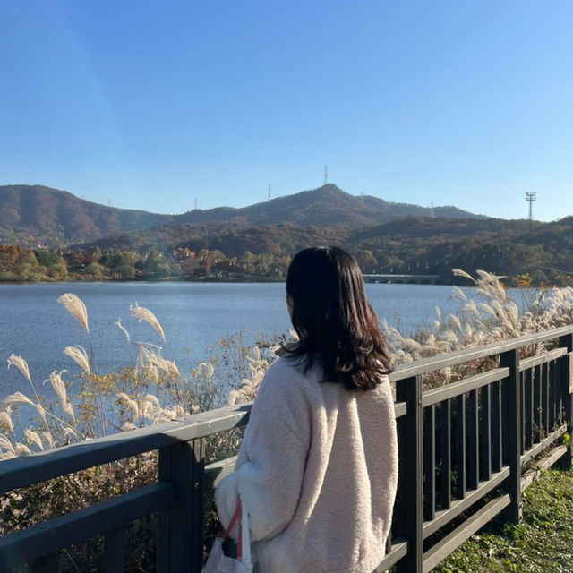 서울 4호선 단풍 놀이 명소 “서울랜드”