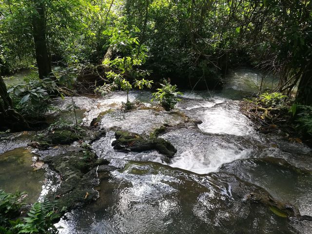 อุทยานแห่งชาติธารโบกขรณี 
