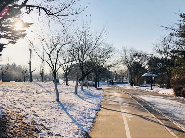 매번 새로운 일산 호수공원! 그 설경과 해빙