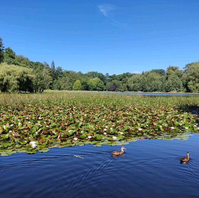 Relaxing walk at Lake Te Koo Utu