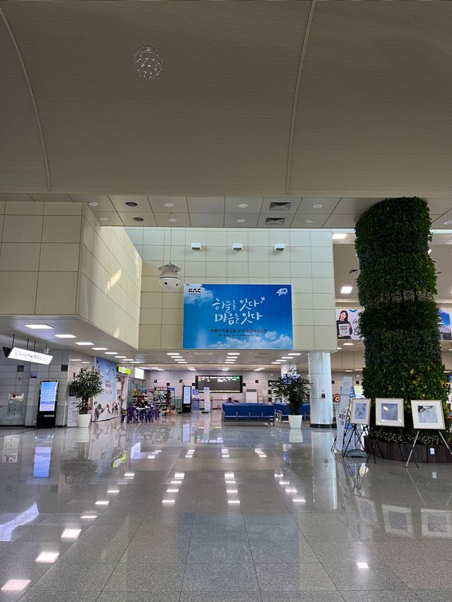 양양에서도 일본까지 갈 수 있다고?!🇰🇷✈️🇯🇵