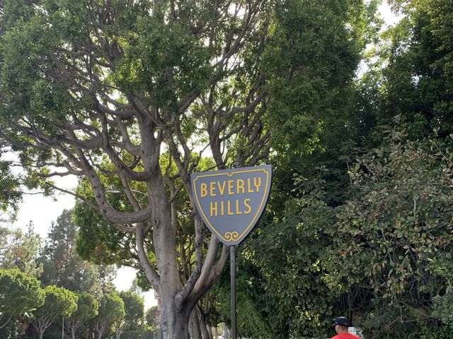 Beverly Hills Tour