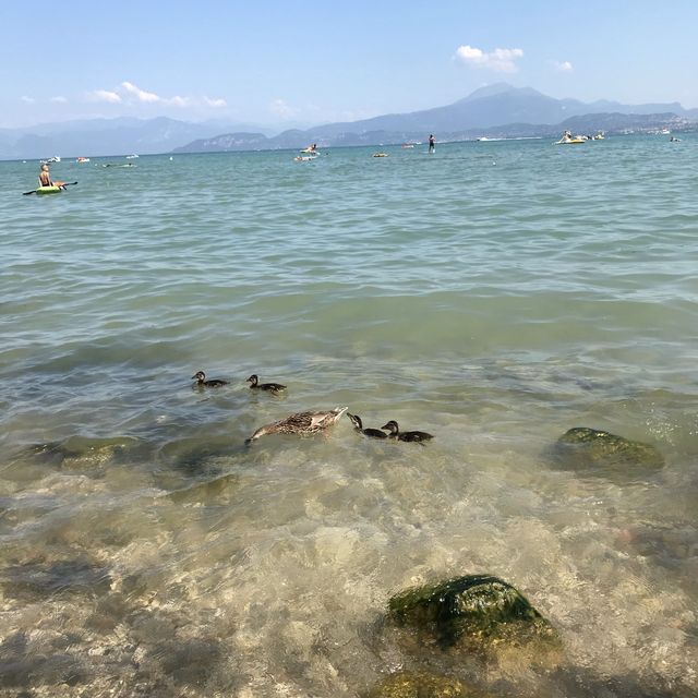 Crystal clear water of Italy’s largest lake