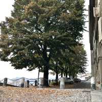 See Autumn Bergamo from City Walls