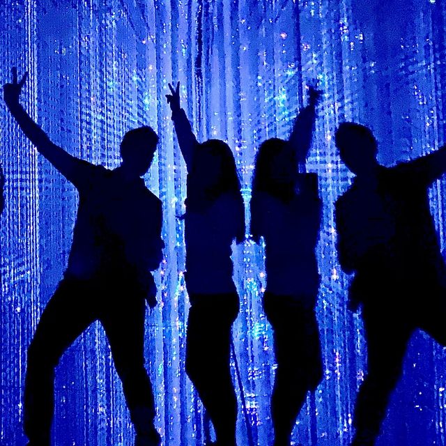 TeamLab Exhibition