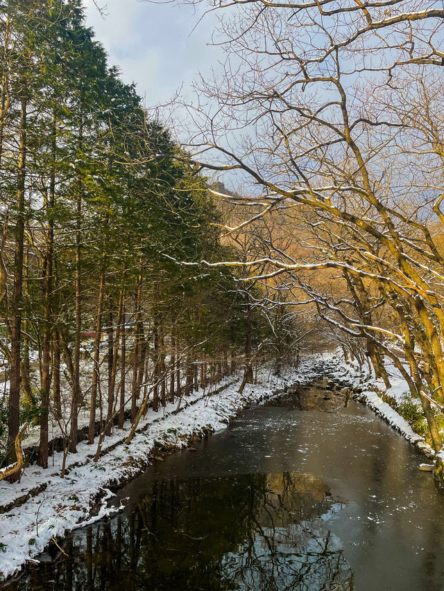 아름다운 설경, 장성 백양사