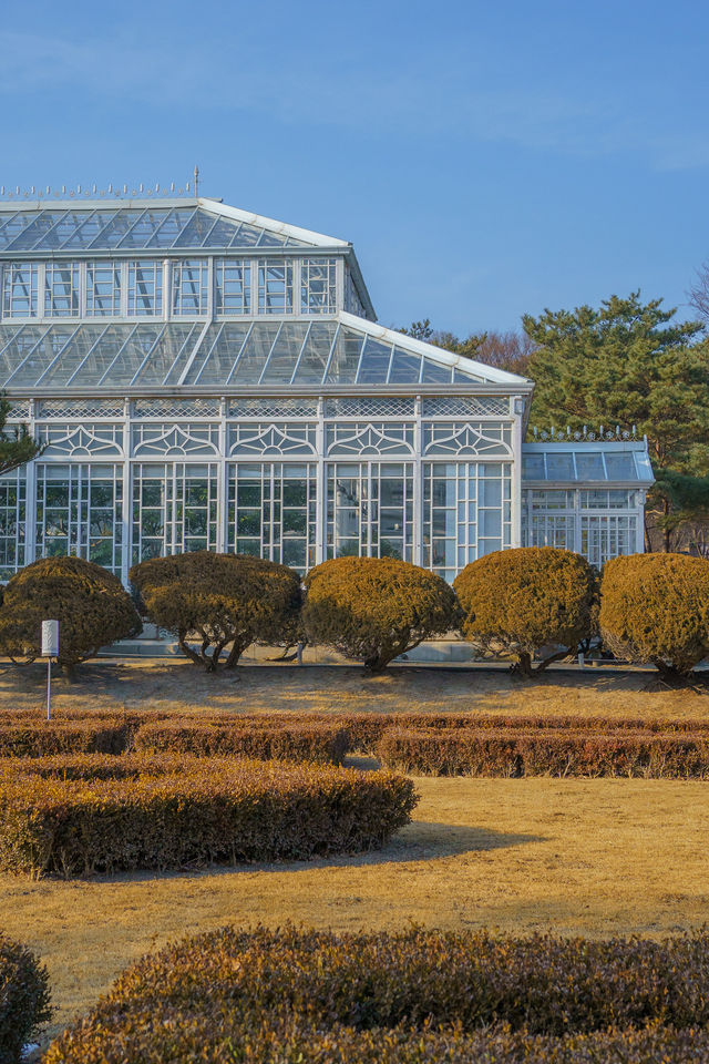 사계절 내내 푸릇한 창경궁 대온실🌳