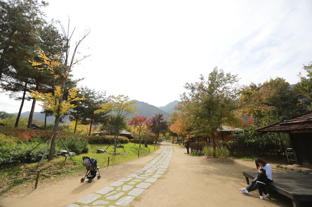 정선 아라리촌 풍경이 너무 예뻐