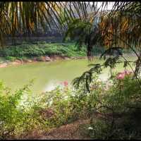 Gulshan Lake Park 