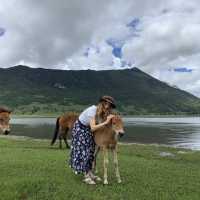 Wenhai lake, Lijiang, Yunnan 