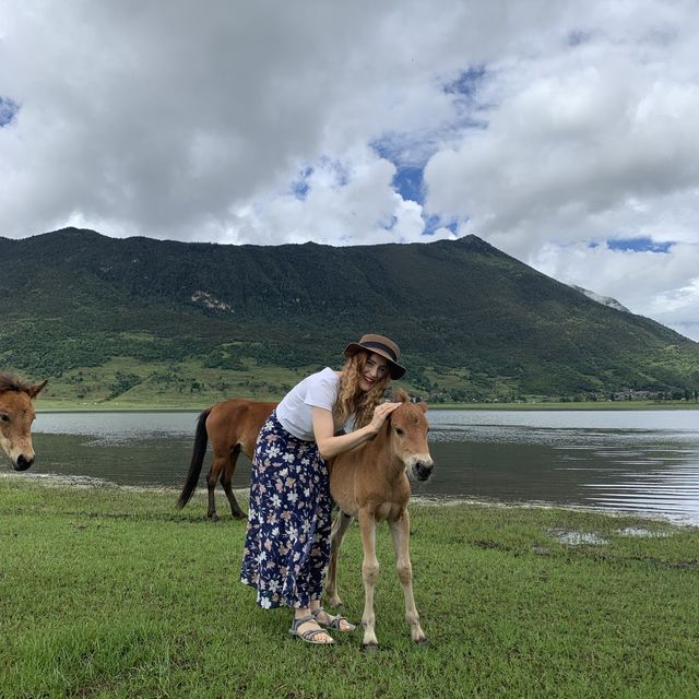 Wenhai lake, Lijiang, Yunnan 