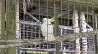Great experience in Lok KaWi wild life park 