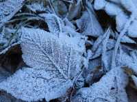向右走。超遠遠足踏遍雪路