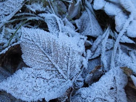 向右走。超遠遠足踏遍雪路