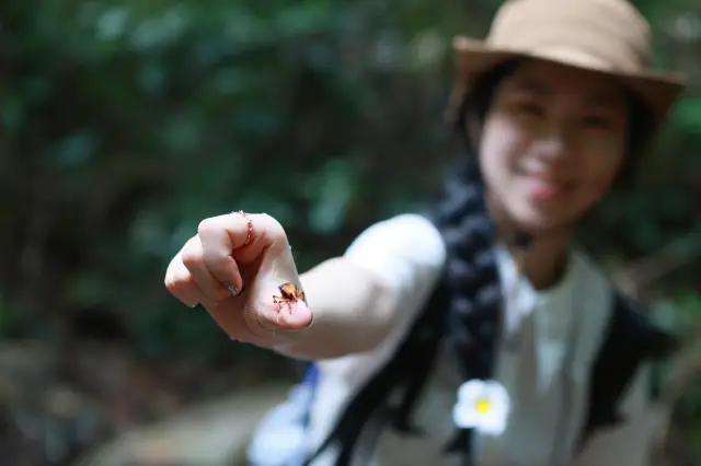 시솽반나의 특별한 액티비티 🧗‍♀️자연을 체험하는 비 오는 날 하이킹