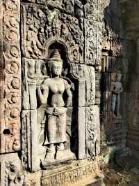 The most beautiful photo frame in the world - Preah Khan: The Triumphal Temple of the God King.