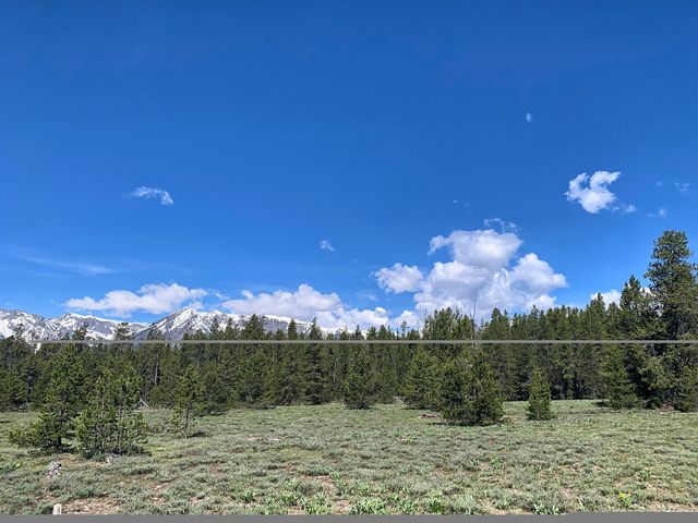 Rush out of Yellowstone.