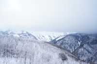 Japan's outdoor sports paradise ❄️ Romantic snow in Hakuba Village